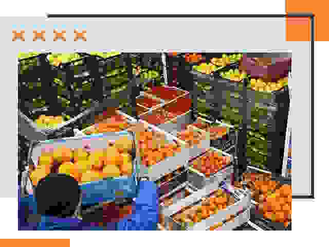 Перевозка скоропортящихся продуктов в железнодорожном